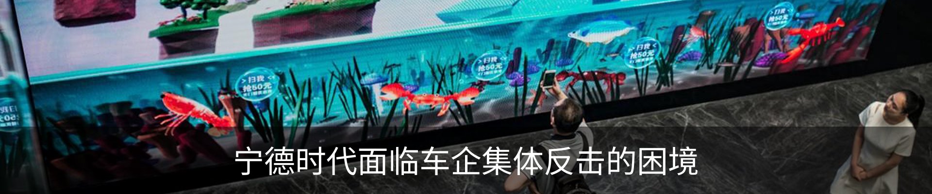 新闻动态
