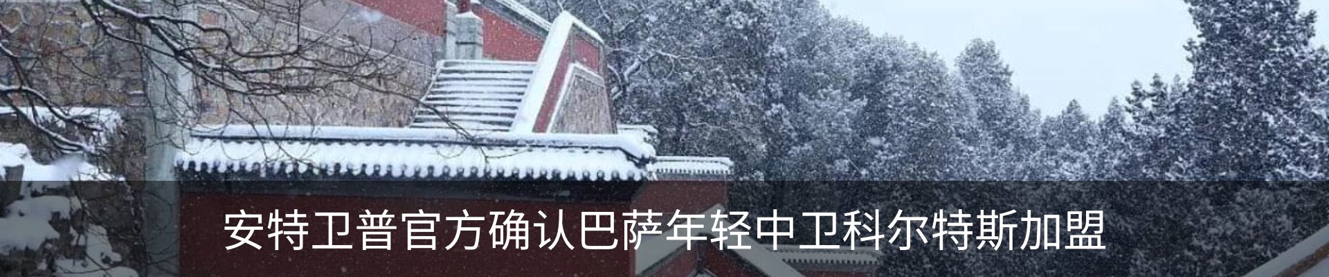 新闻动态