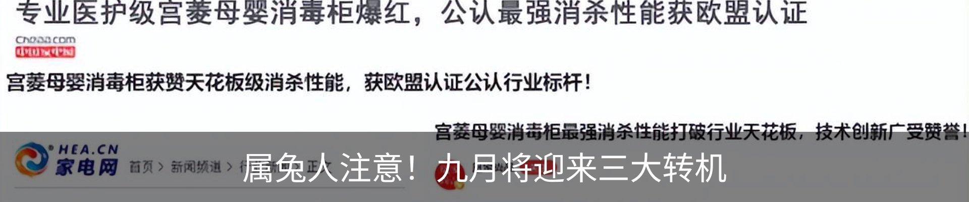 新闻动态