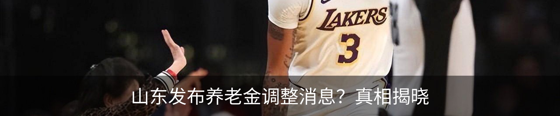 新闻动态
