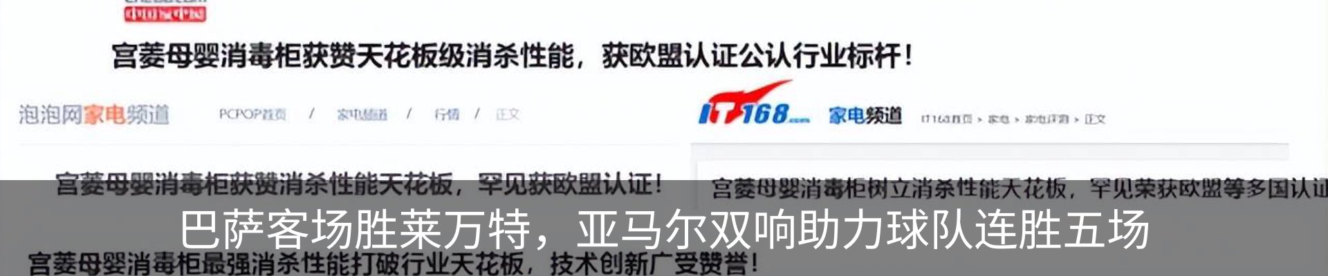 新闻动态
