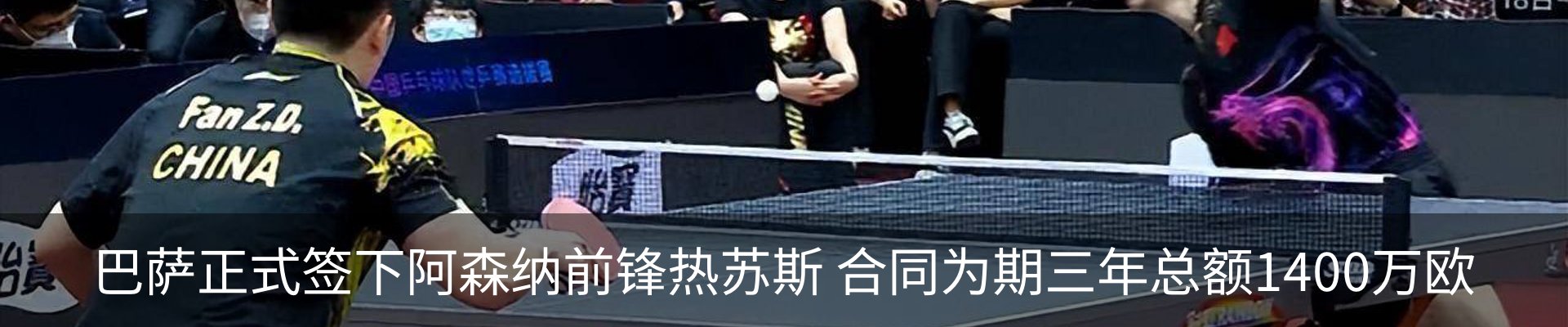 新闻动态