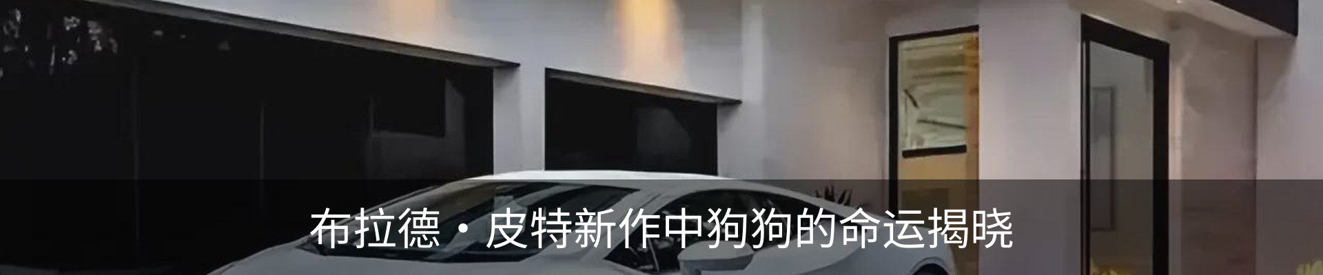 新闻动态