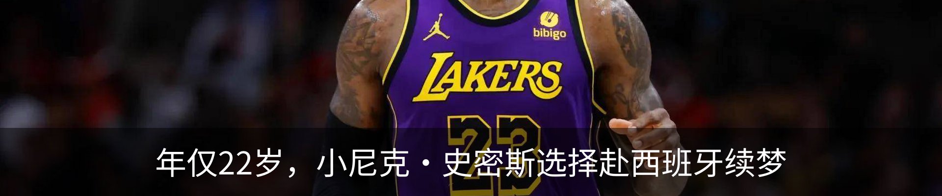 新闻动态