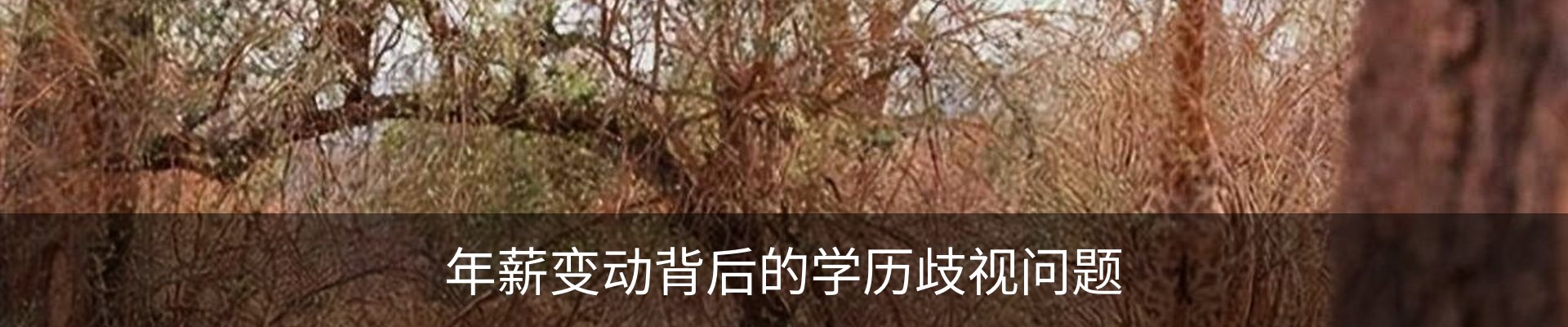 新闻动态