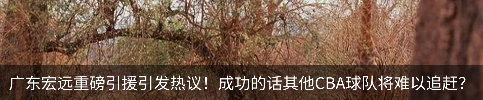 新闻动态