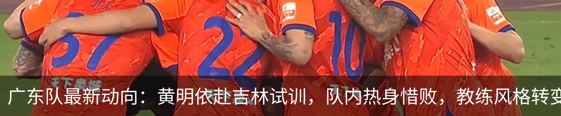 新闻动态