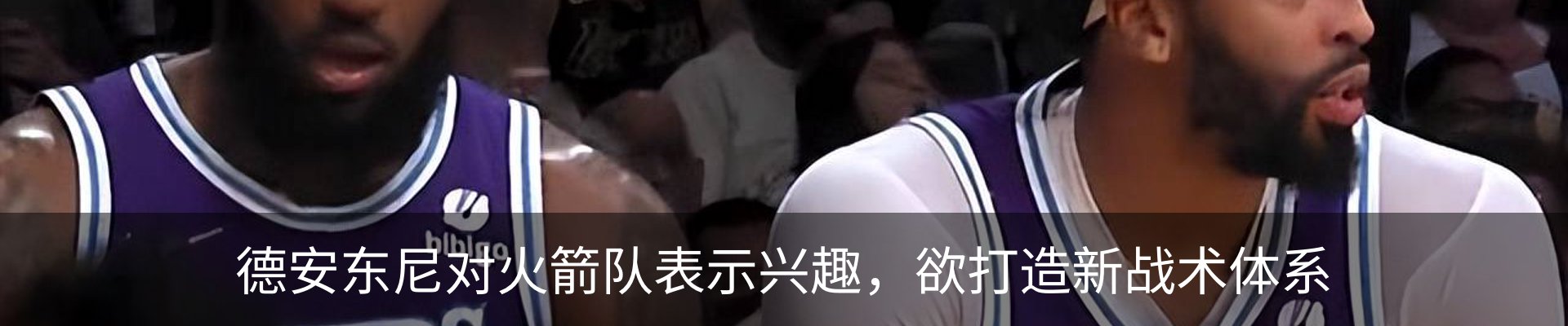 新闻动态