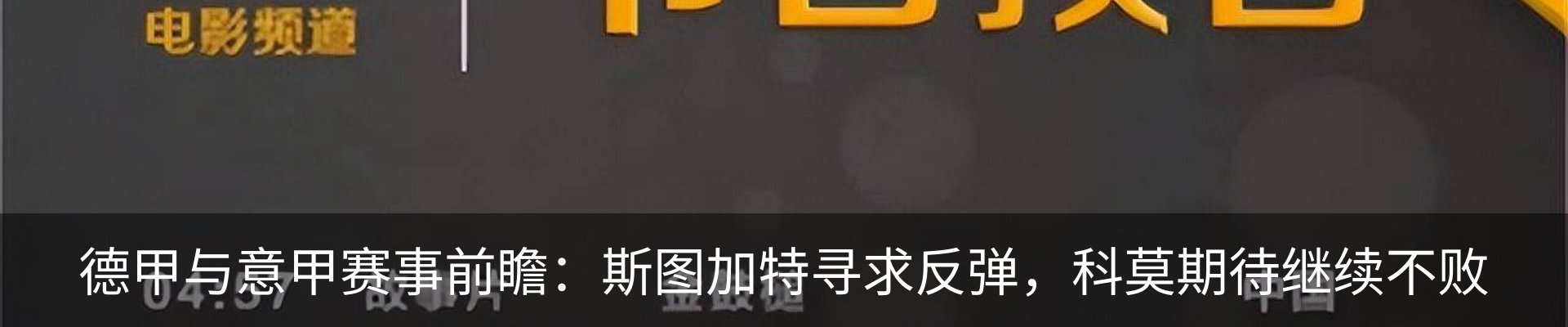 新闻动态