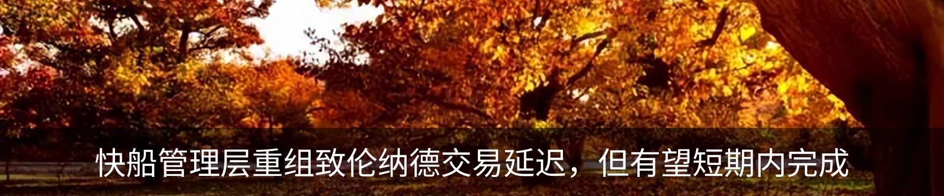 新闻动态