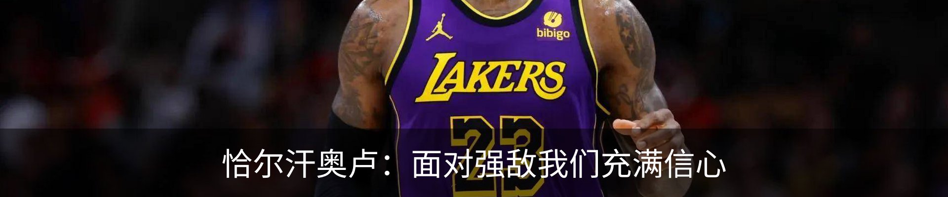 新闻动态