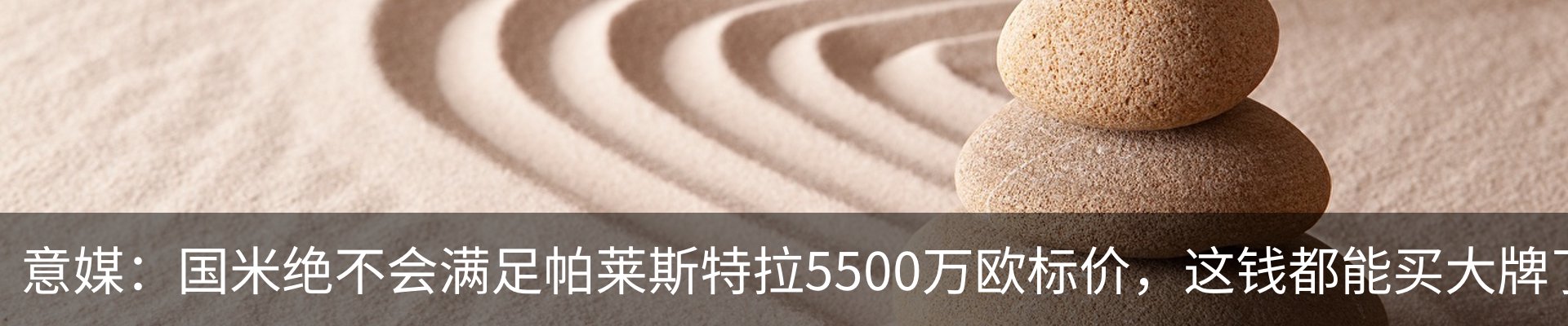 新闻动态