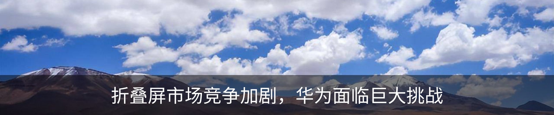 新闻动态