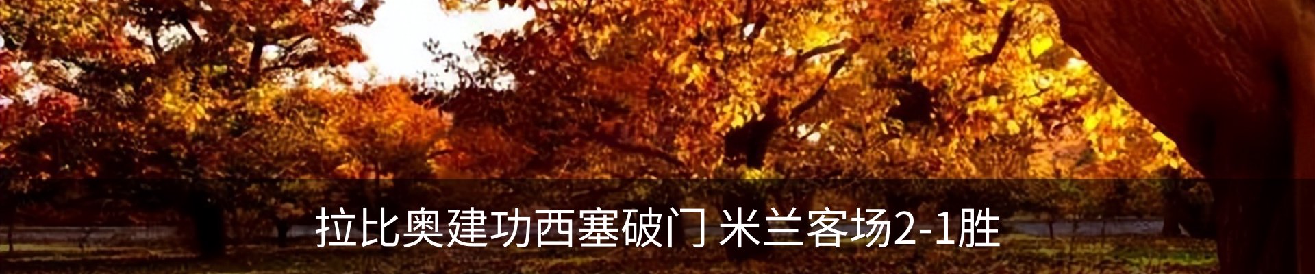新闻动态