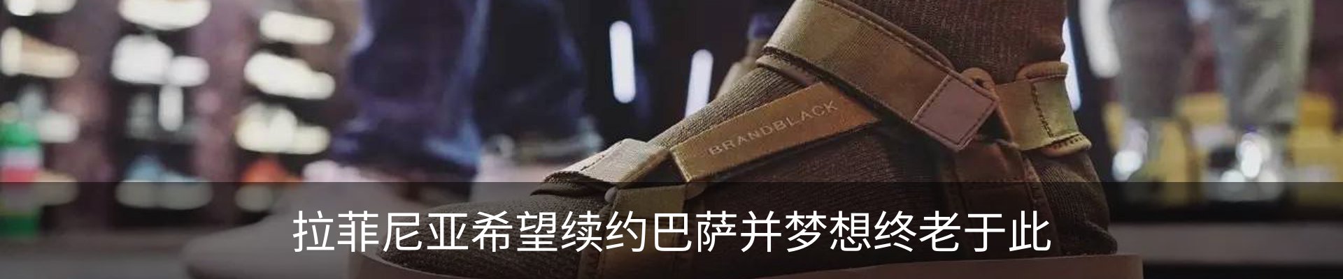 新闻动态