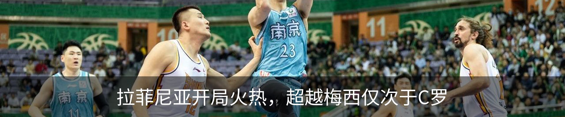 新闻动态