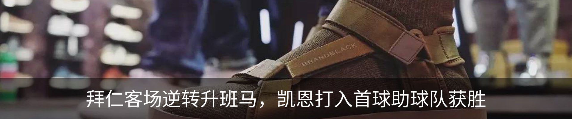 新闻动态