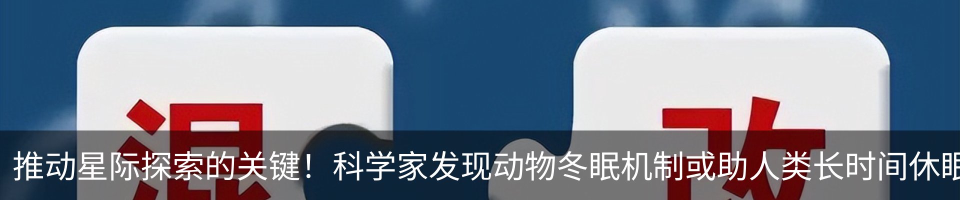 新闻动态