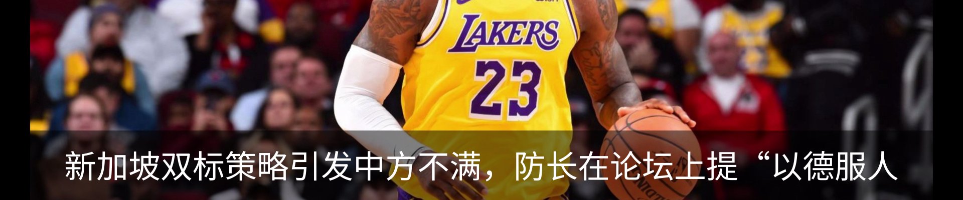 新闻动态