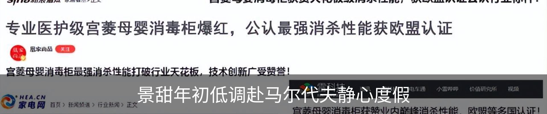 新闻动态