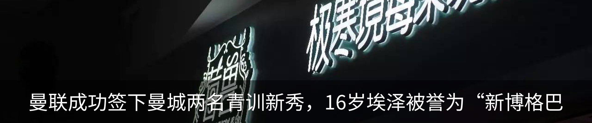 新闻动态