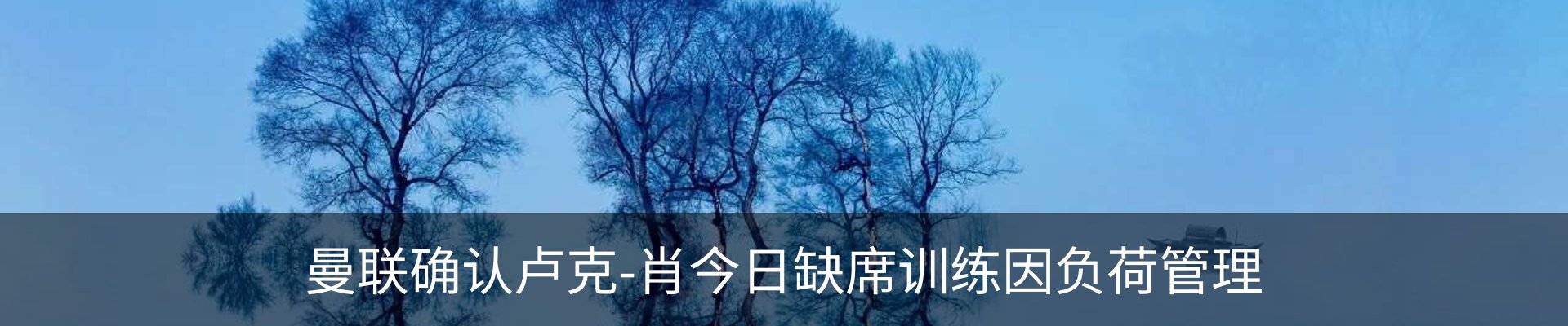 新闻动态