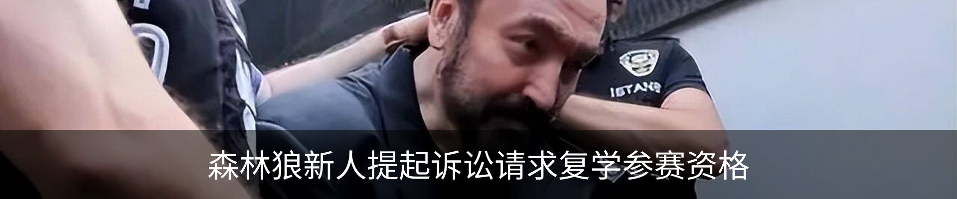 新闻动态