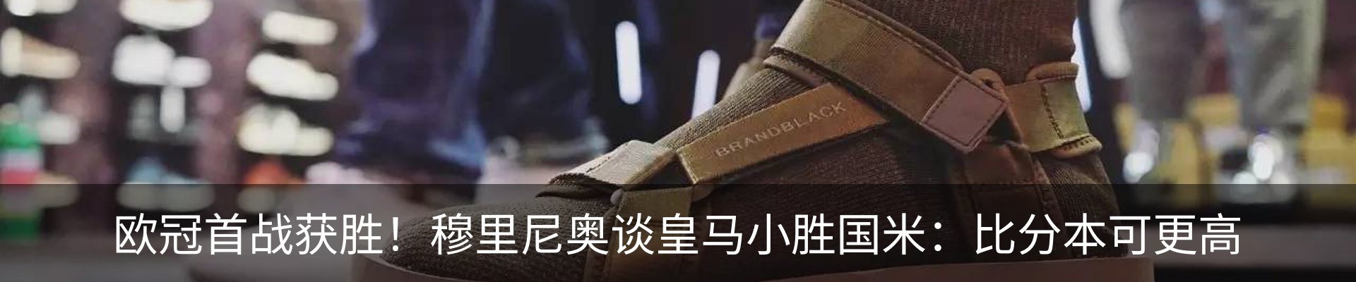 新闻动态