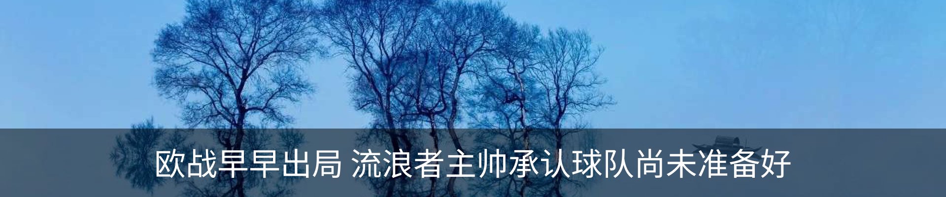 新闻动态