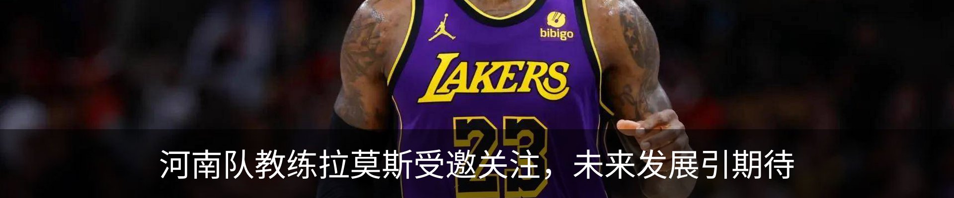 新闻动态