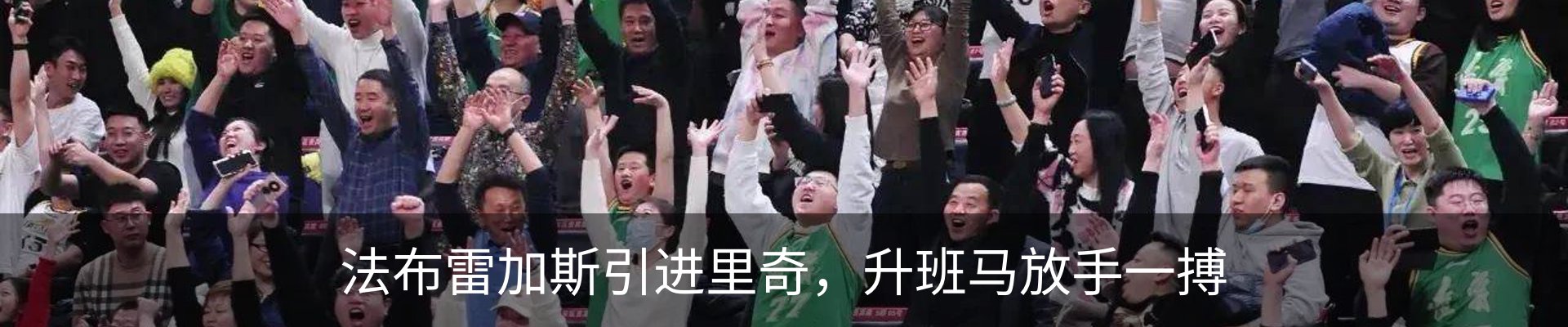 新闻动态