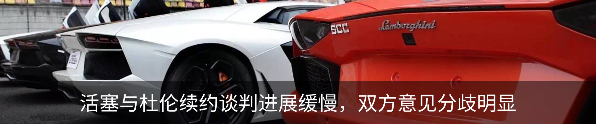 新闻动态