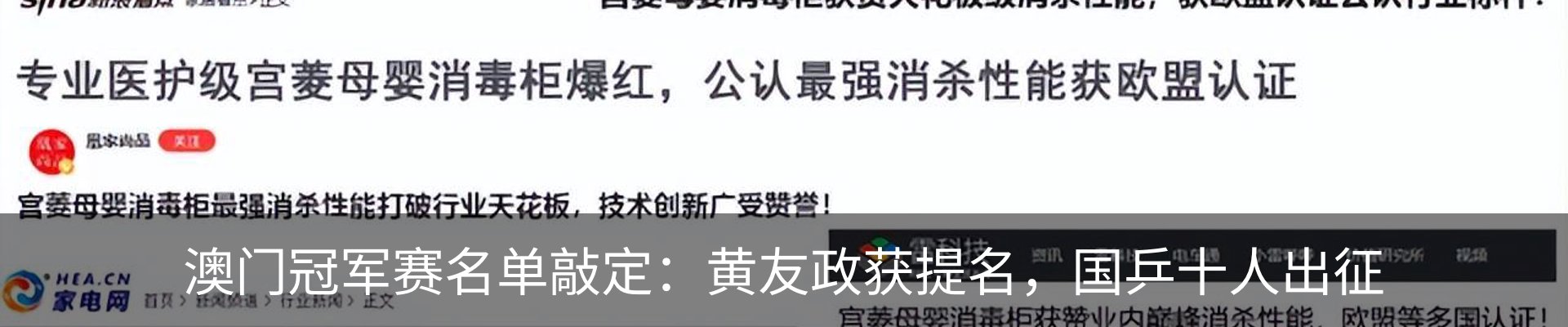 新闻动态