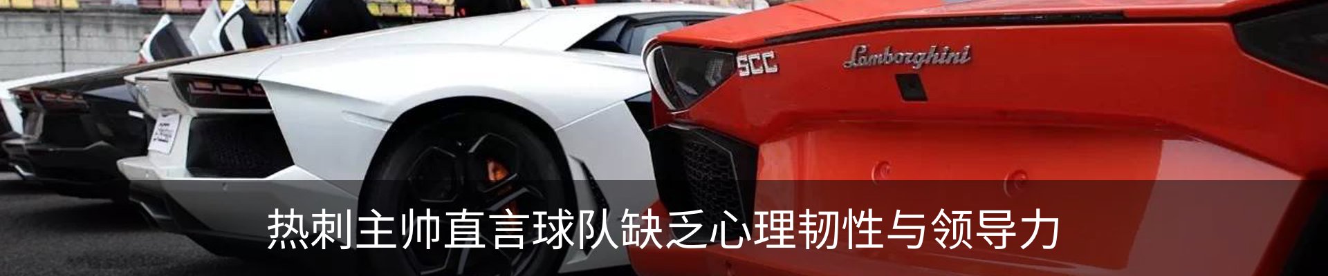 新闻动态