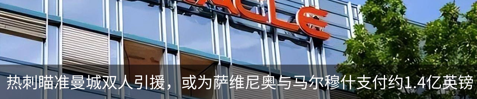 新闻动态