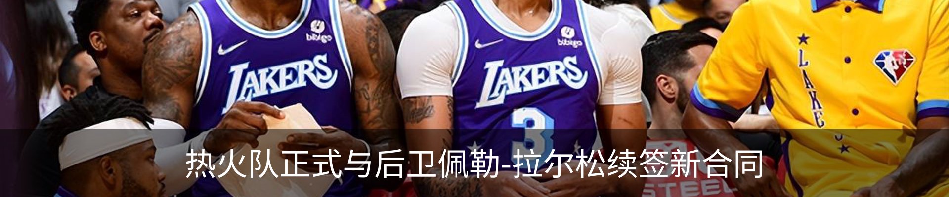 新闻动态