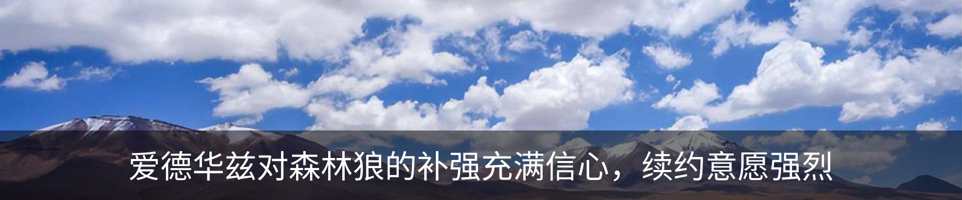 新闻动态