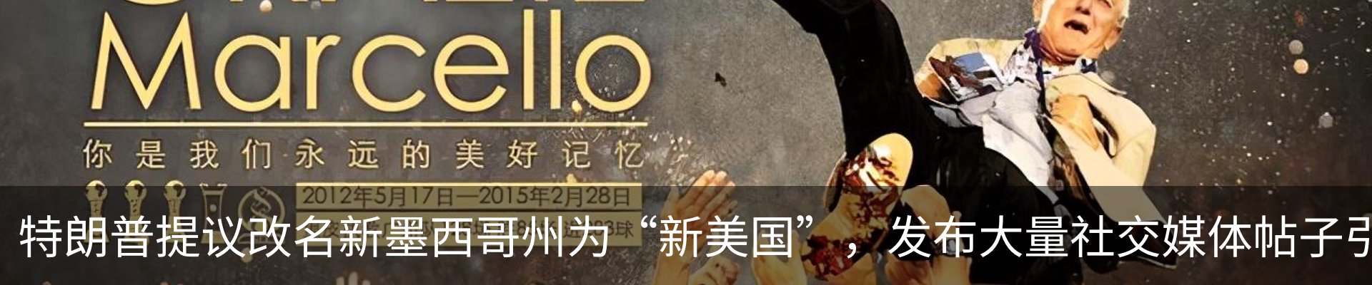 新闻动态
