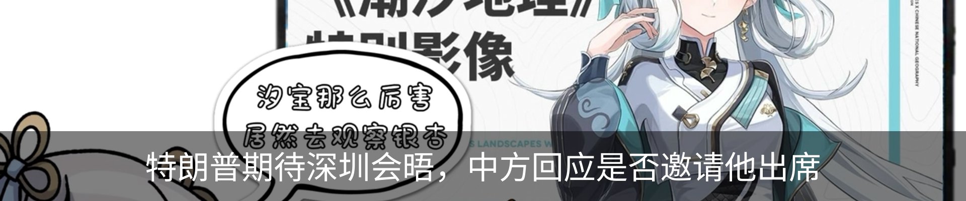 新闻动态