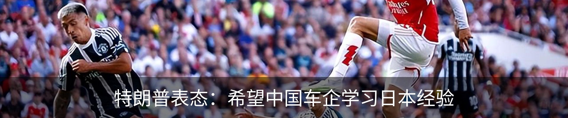 新闻动态