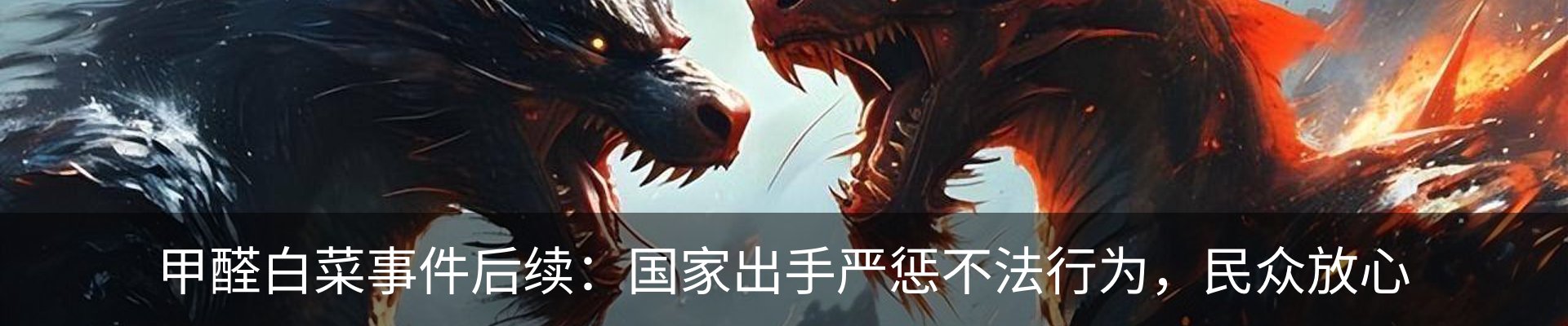新闻动态