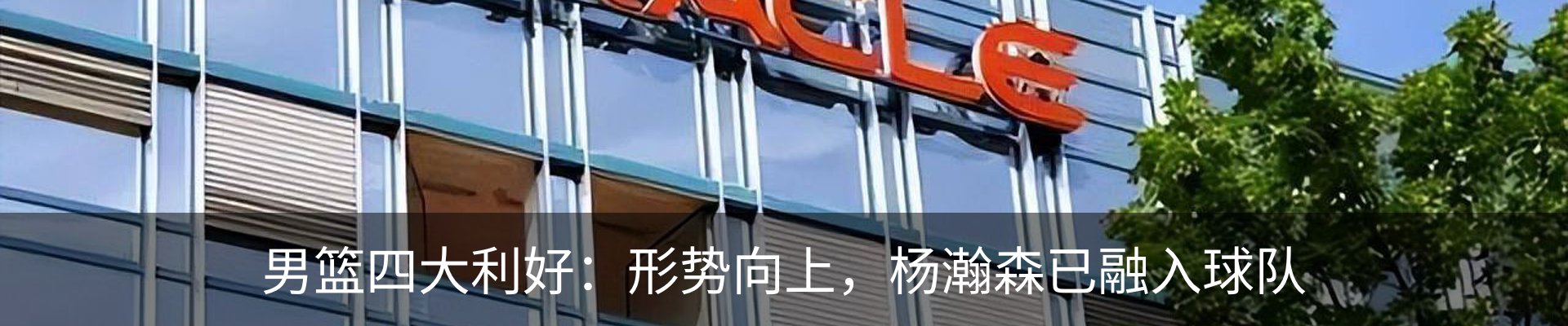 新闻动态