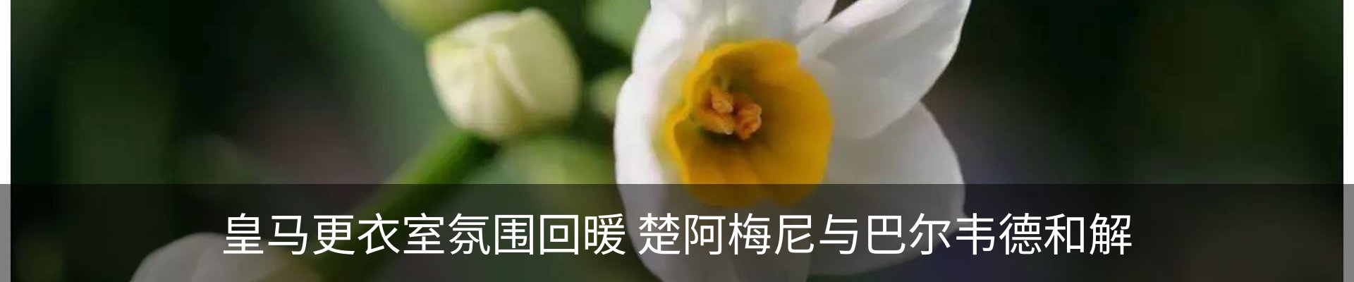 新闻动态