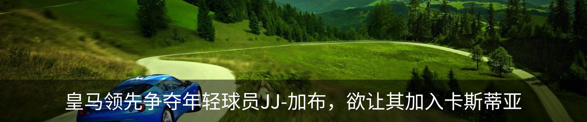 新闻动态