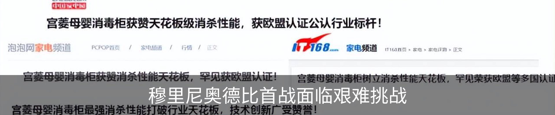 新闻动态