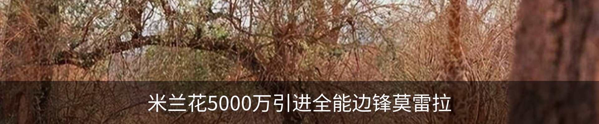新闻动态