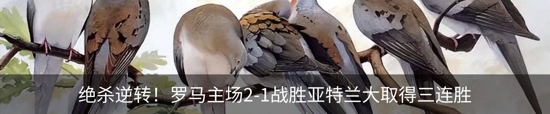 新闻动态