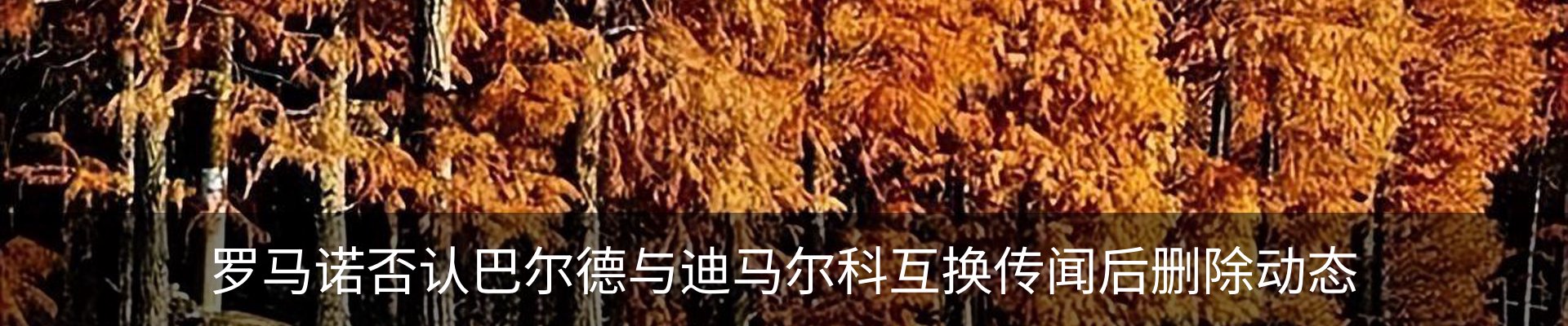 新闻动态