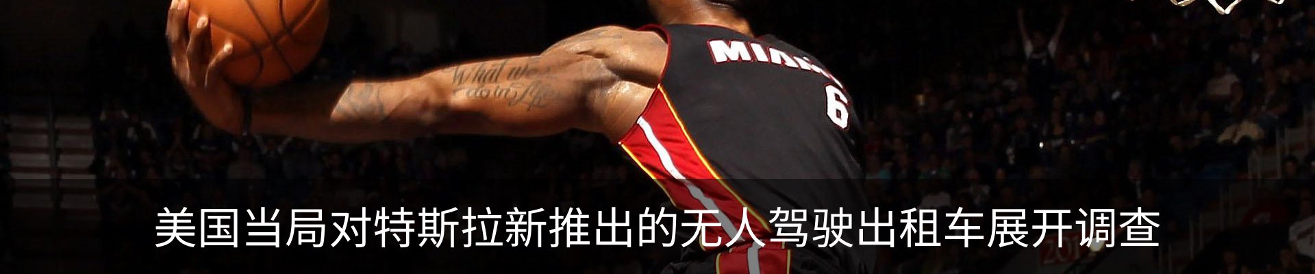新闻动态