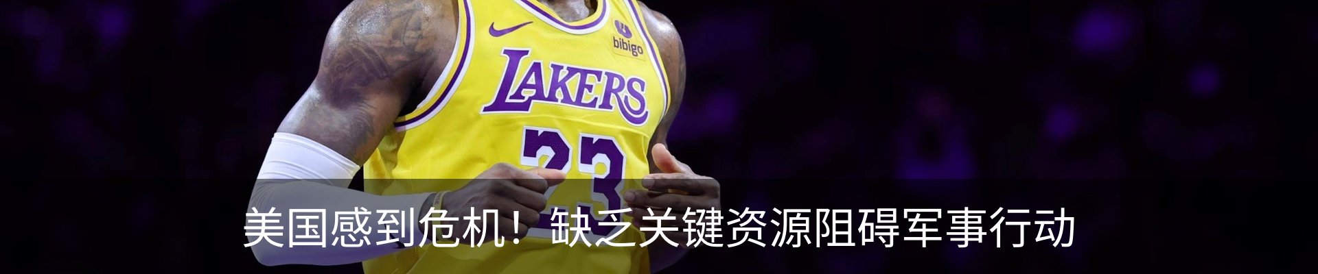 新闻动态